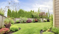 a backyard with green grass and shrubs