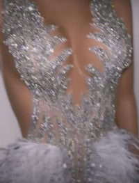 the back of a woman's dress with feathers on it