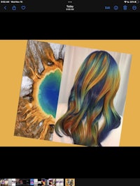 an ipad screen showing a rainbow colored hair with a yellow lake in the background